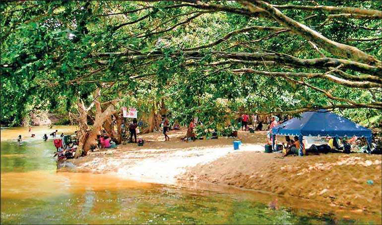 Wilpattu National Park
